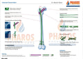 Universal Femoral Nail Cannulated with 4 Screws (quotation)